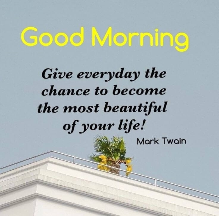 inspiration image