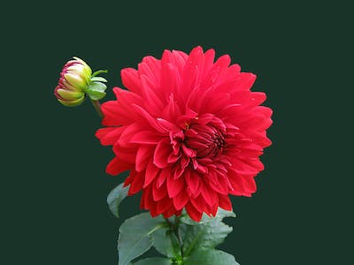 inspiration image